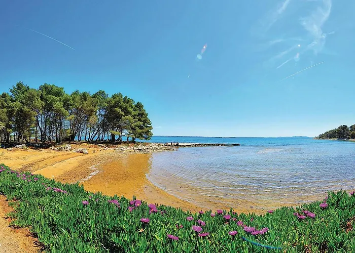 2 Bedroom Amazing In アパート *